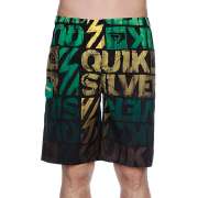 Пляжные шорты Quiksilver 1058351