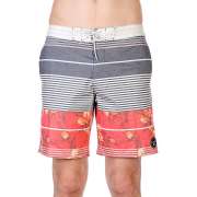 Пляжные шорты Billabong 1089707